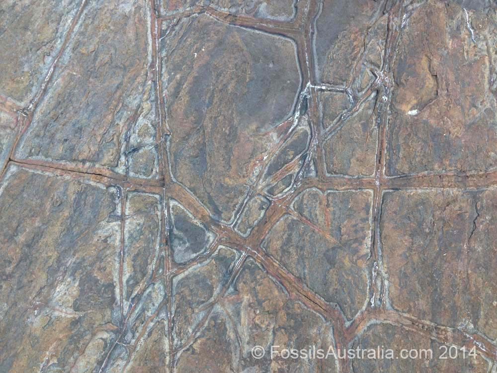 Syneresis cracks